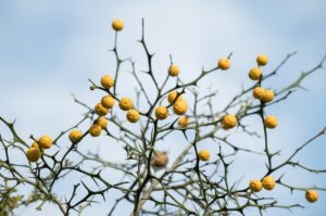 秋の乾燥対策として肌温度を上げる方法は？