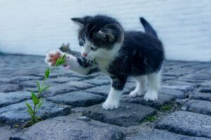乾燥小ジワに効果的なクリームはどれがおすすめ？